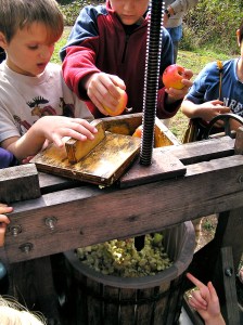 loading in the apples