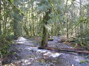 Goldstream Provincial Park