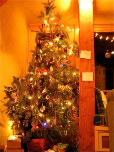 our tree made with branches