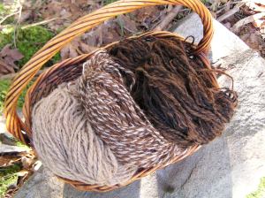 Alpaca fibre from Salt Spring Island