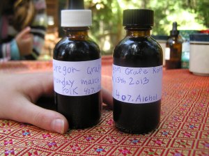 mahonia tincture
