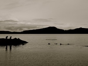 snorkeling in the gulf islands