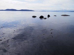 what lives beneath that glassy surface?