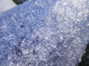 frost crystals