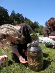 mycellium connections