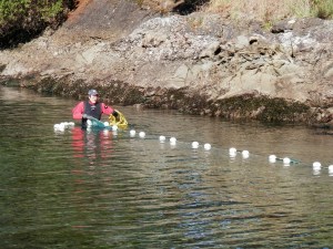 Doug setting the seine net