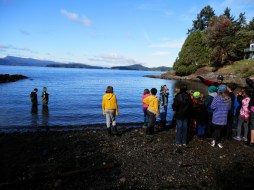 setting the seine net
