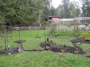 new orchard