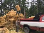 moving bales