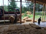 restacking bales
